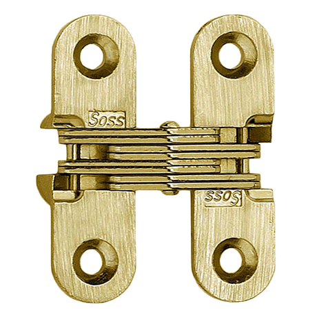 Specialty Concealed Hinges