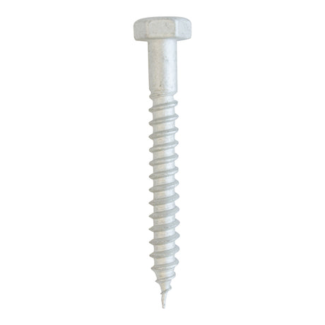 Hex Head Lag Screws