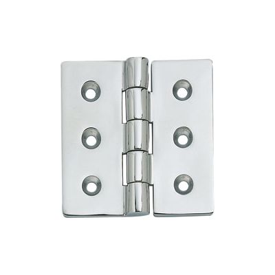 316 Stainless Steel Hinge