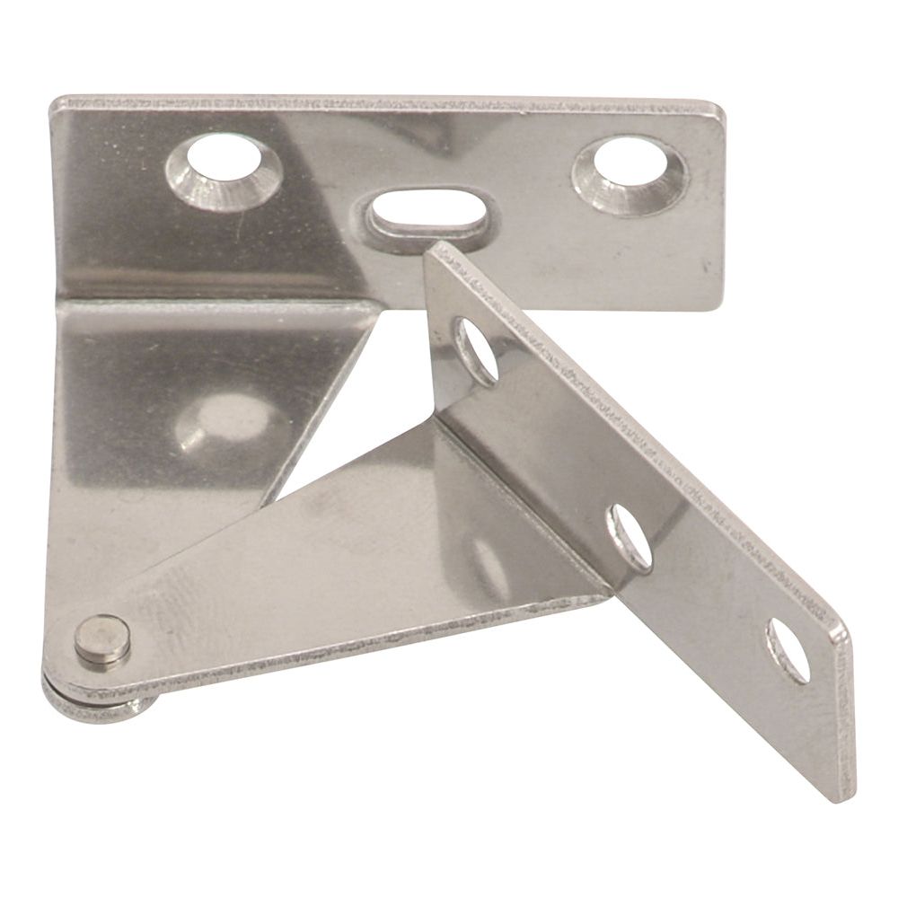 Stainless Steel Pivot Hinge