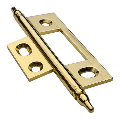 Solid Brass Steeple Tipped No-Mortise Hinge