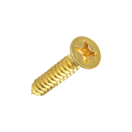 Solid Brass Door Hinge Screws