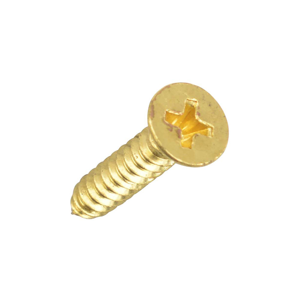 Solid Brass Door Hinge Screws