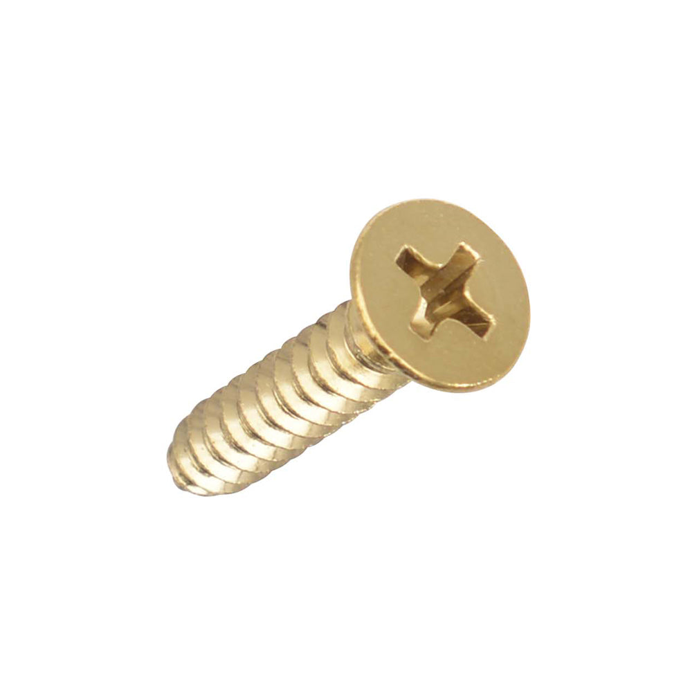 Solid Brass Door Hinge Screws