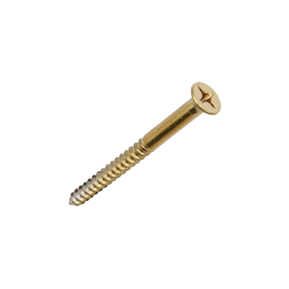 Extra Long Door Hinge Wood Screws