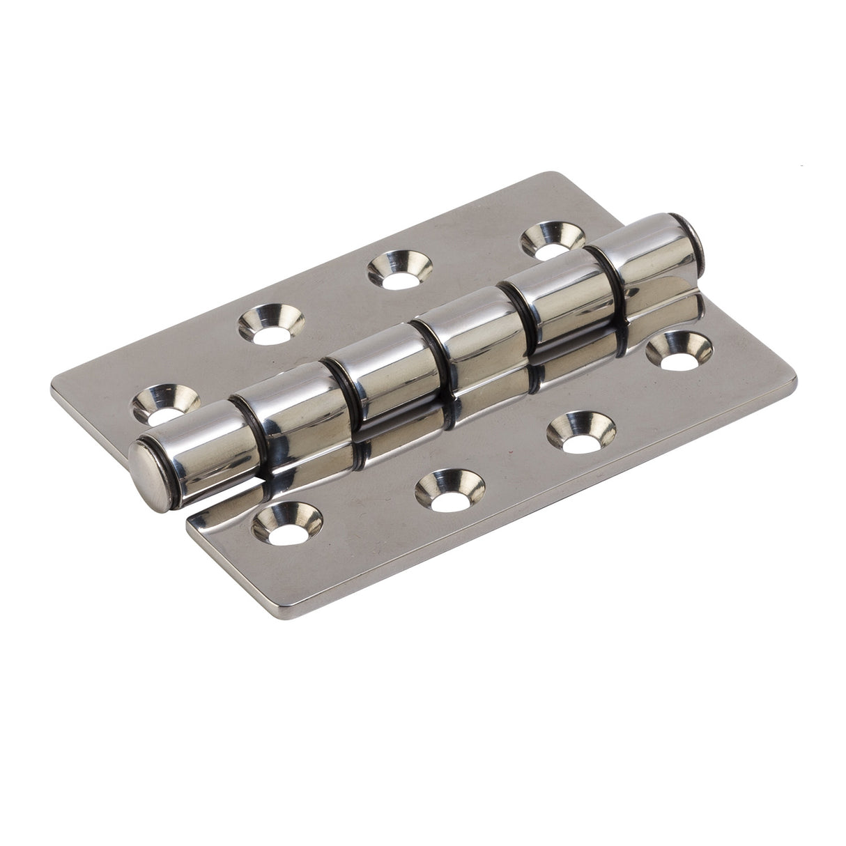 Type 316 Stainless Steel Hinge