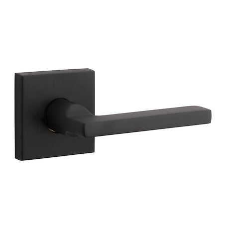 Baldwin Modern Gate Lever