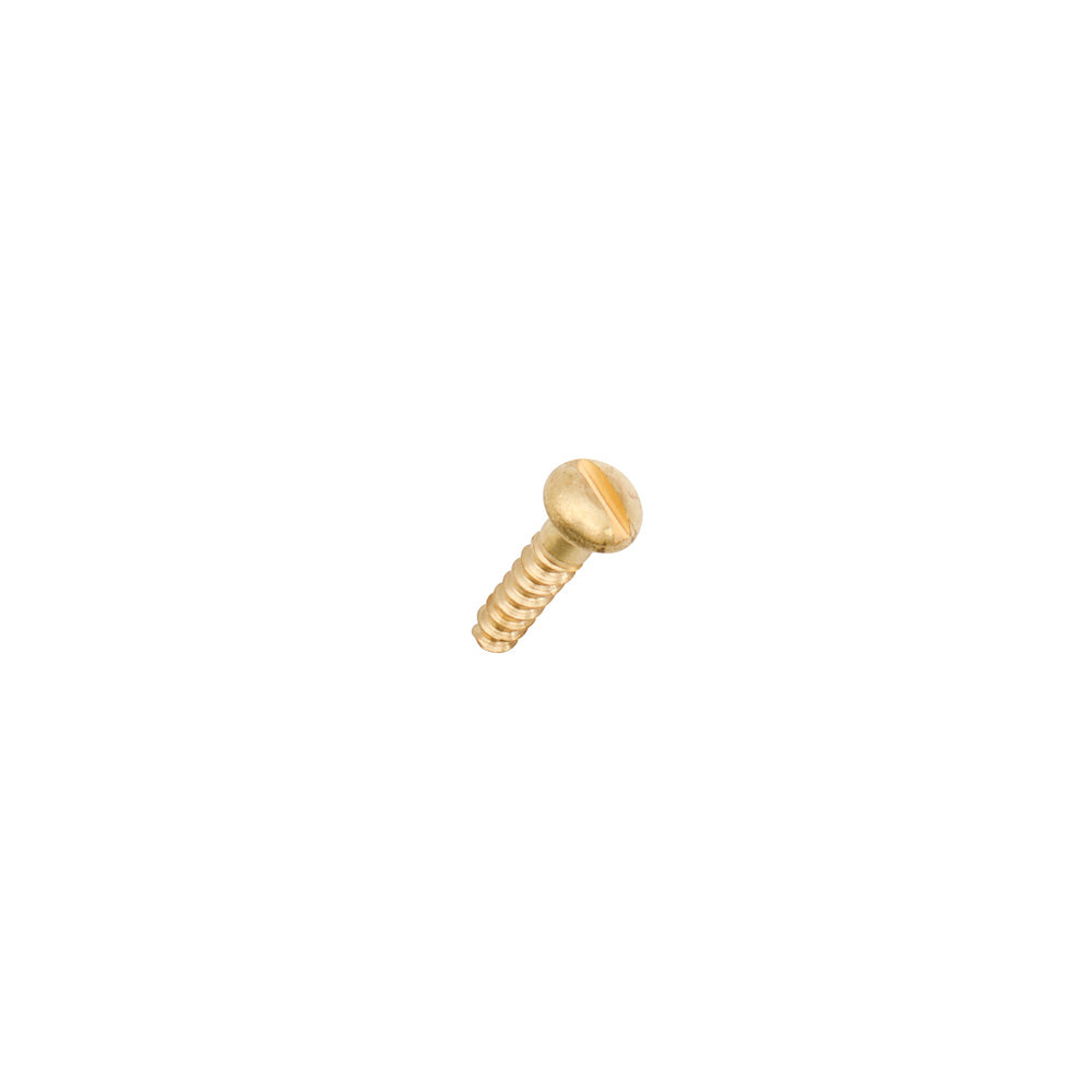 Solid Brass Round Head Wood Screws - 6 Pack