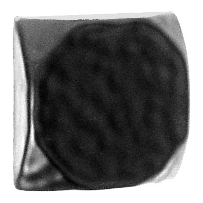 Square Clavos