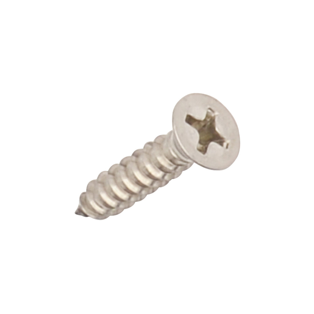 Stainless Steel Flat Head Philips Screws, 100 Pack