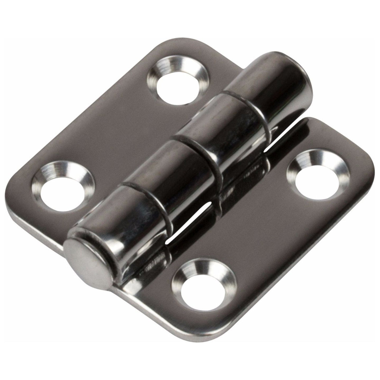 Small Stainless Steel Utility Hinge