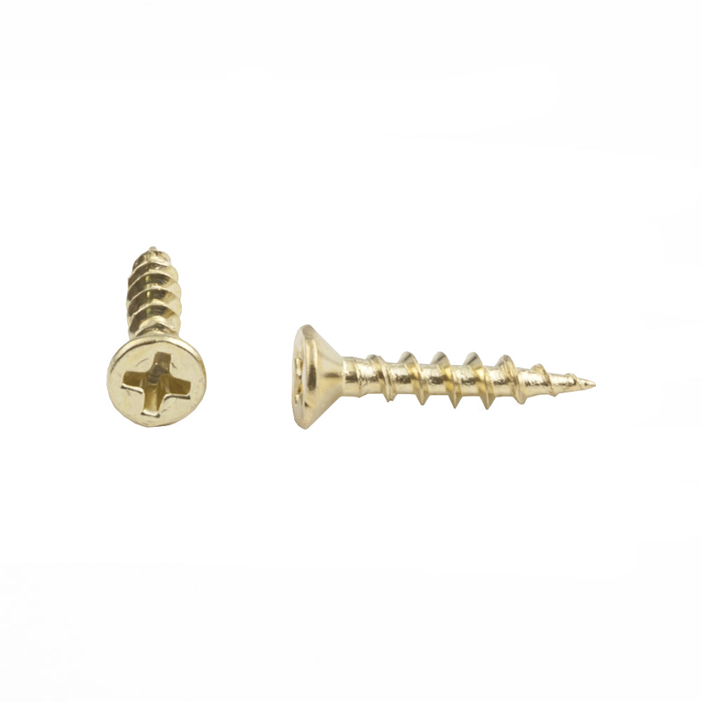 Shutter Hinge Screws