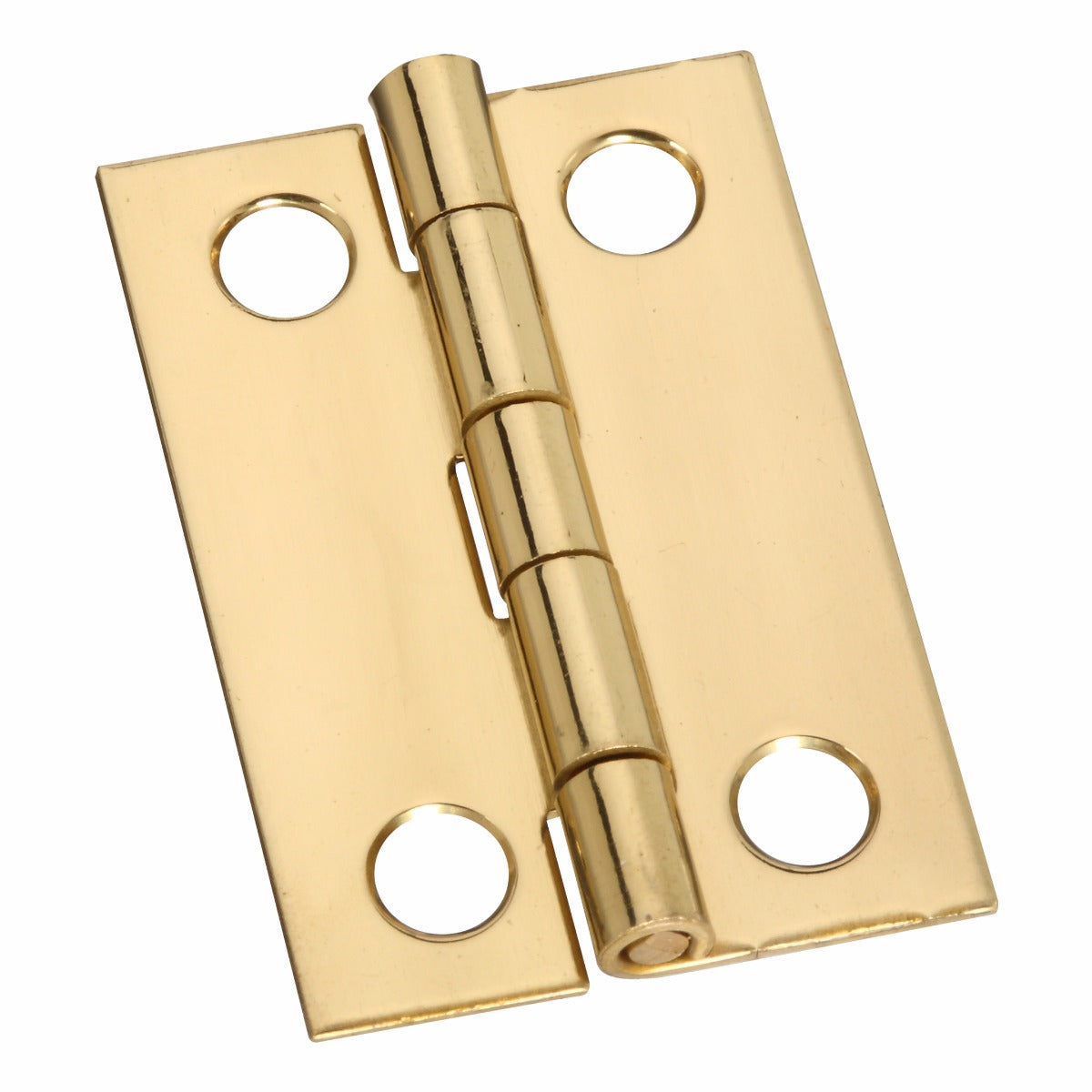 Solid Brass Hinge