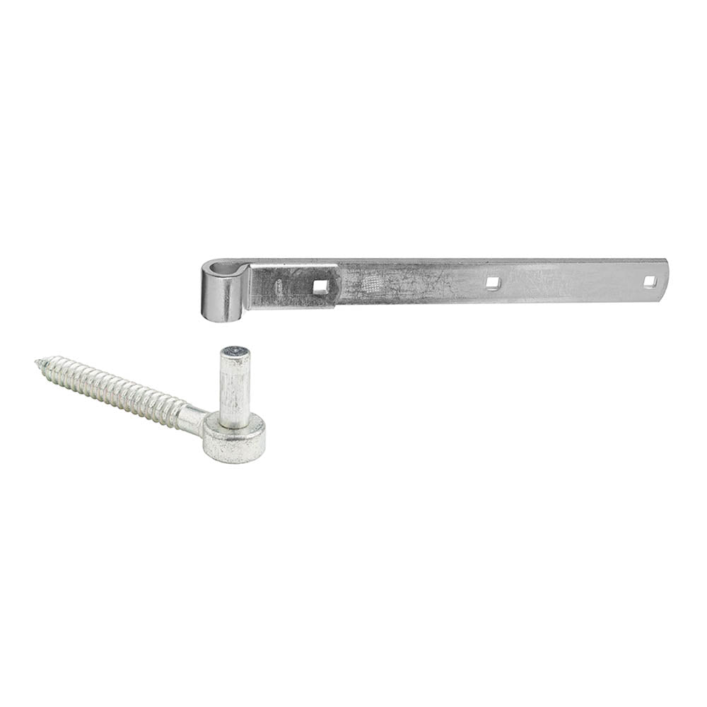 Screw and Strap Hinge