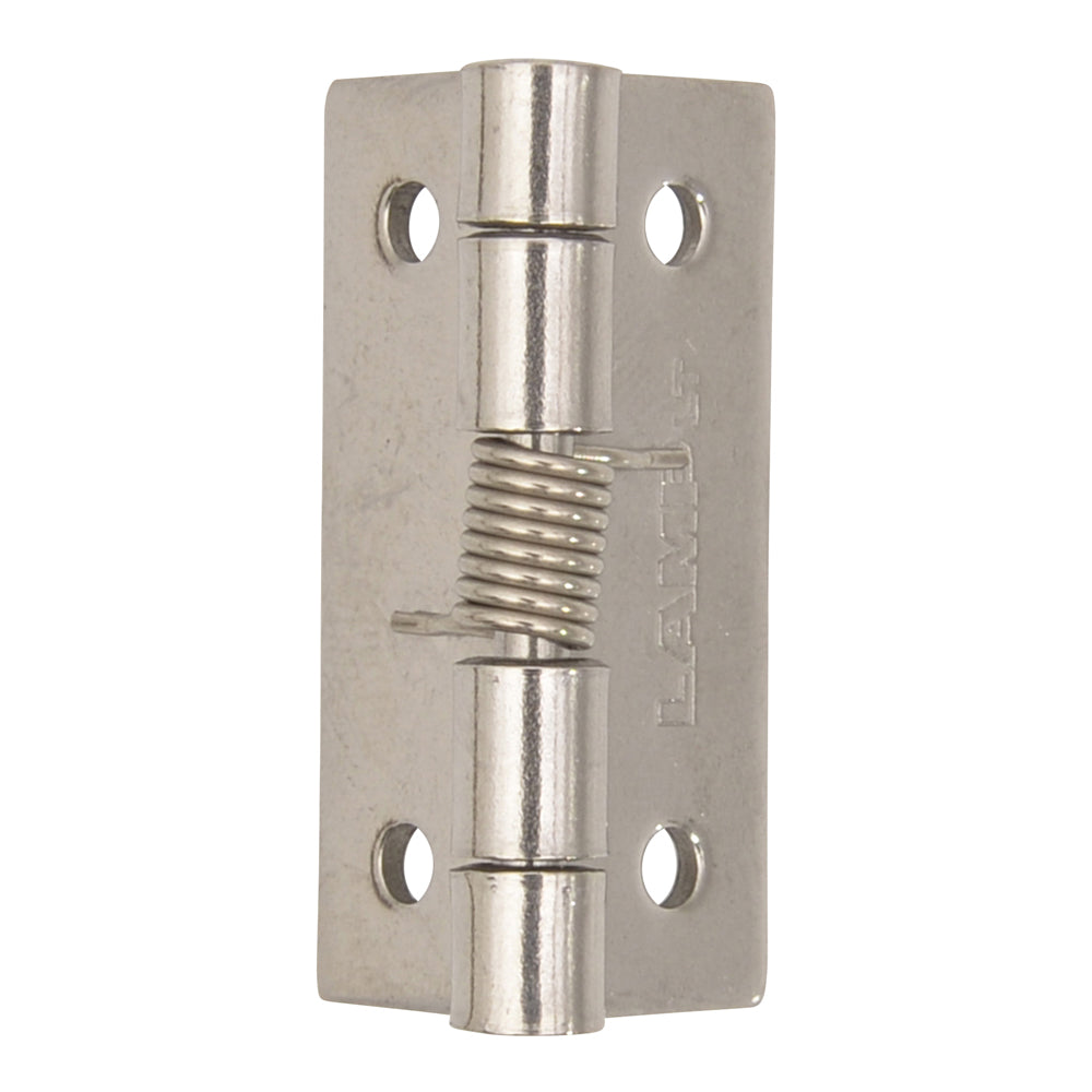 Small Stainless Steel Spring Hinge