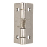 Small Stainless Steel Spring Hinge