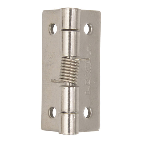 Small Stainless Steel Spring Hinge