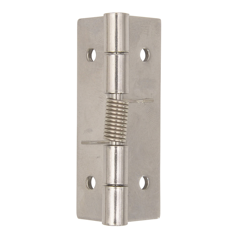 Small Stainless Steel Spring Hinge