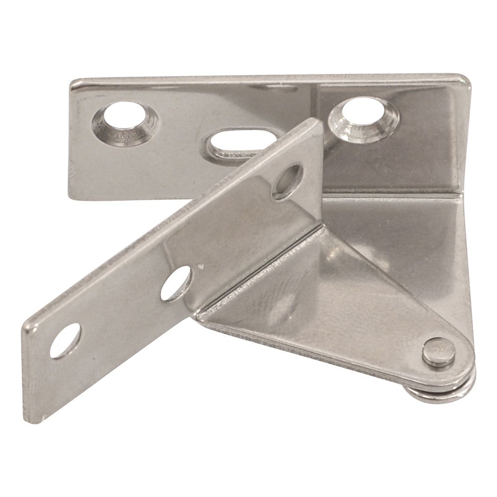 Stainless Steel Pivot Hinge