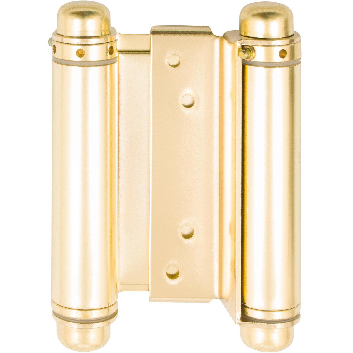 Double Action Spring Hinge