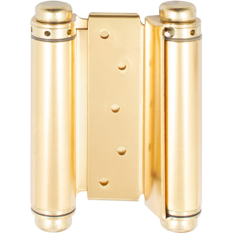 Double Action Spring Hinge