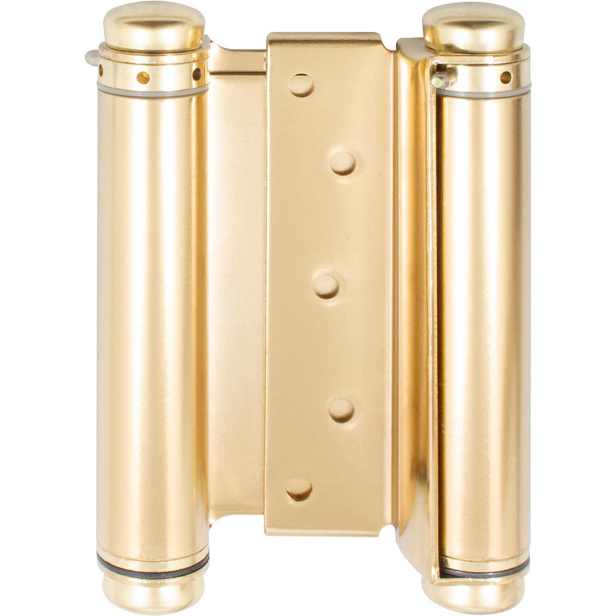 Double Action Spring Hinge