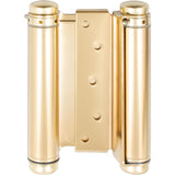 Double Action Spring Hinge