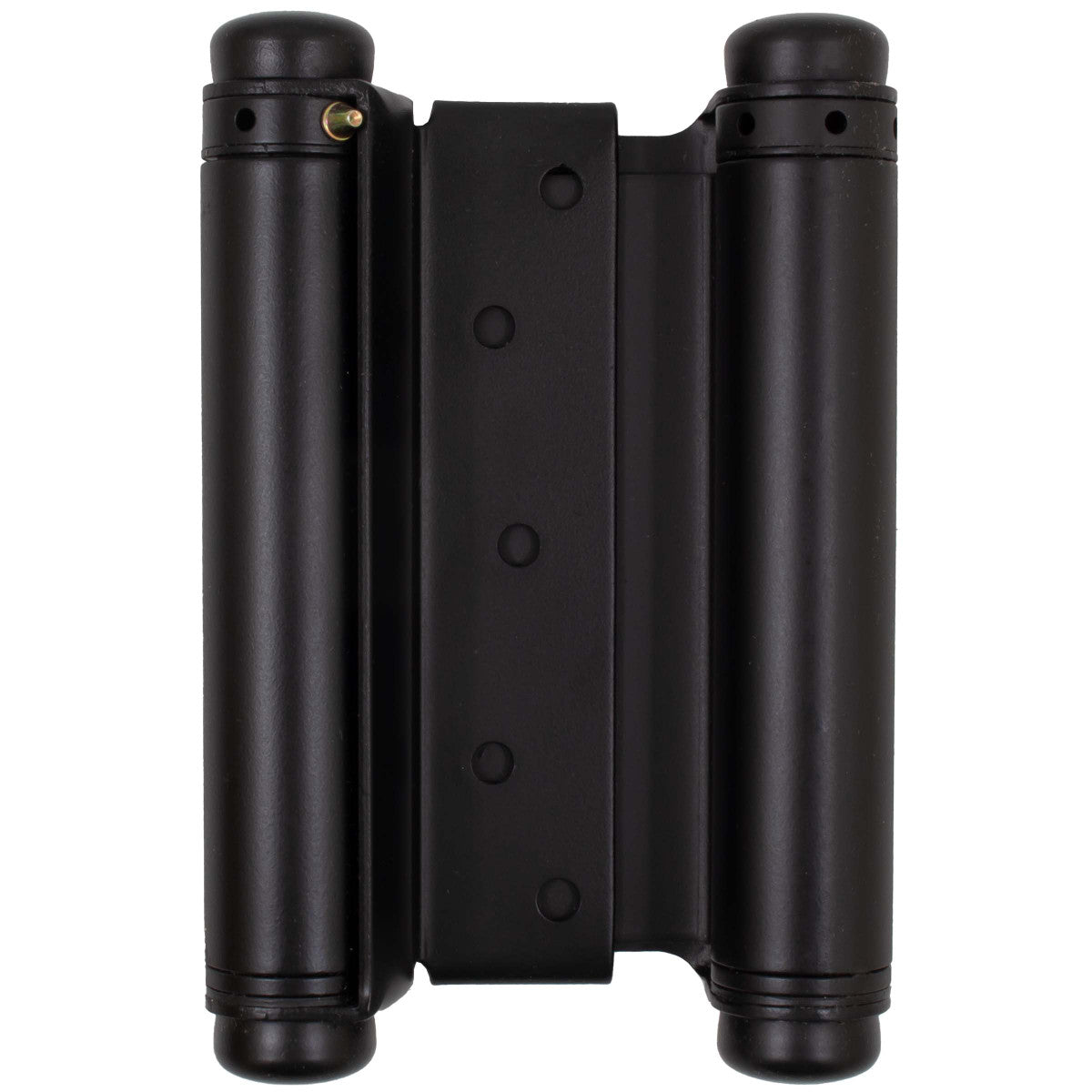 Double Action Spring Hinge