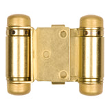 Light Duty Double Action Spring Hinge