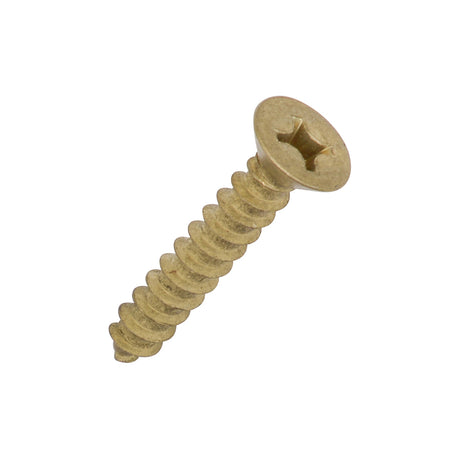 Steel Screws for Door Hinges