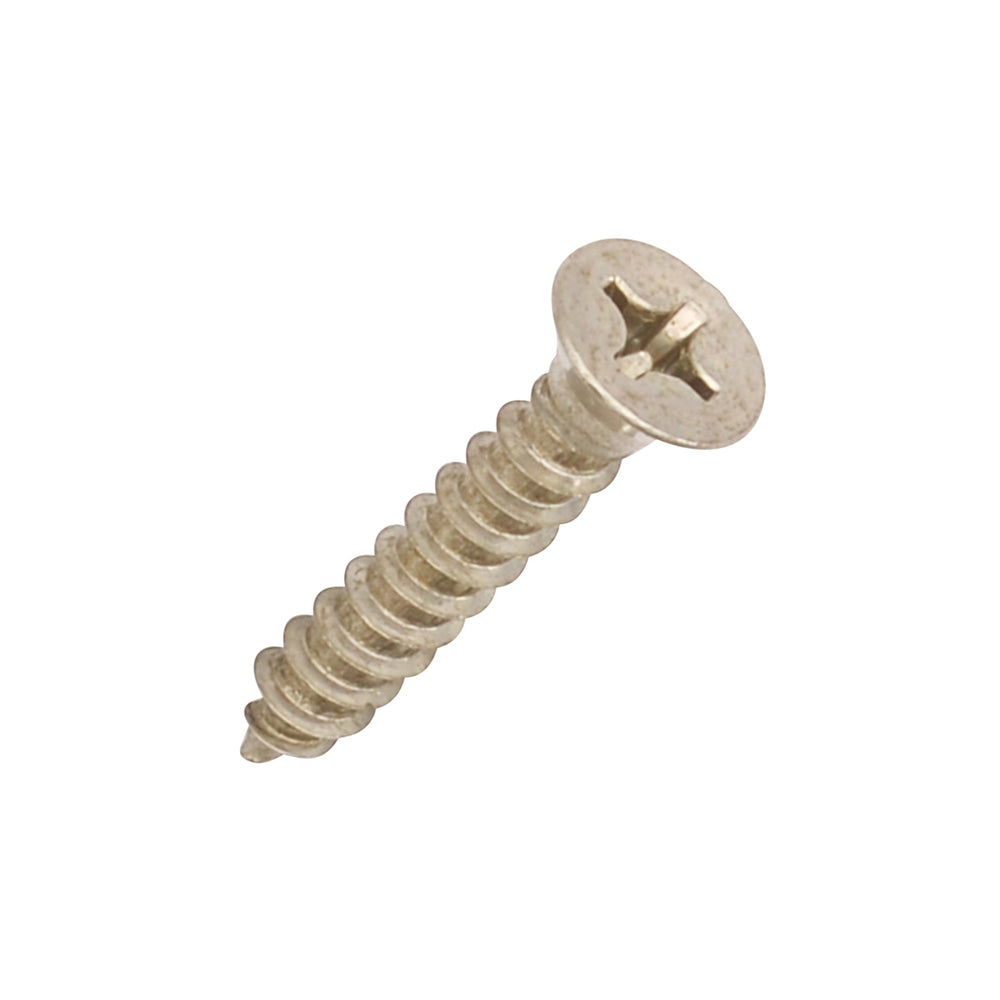 Steel Screws for Door Hinges