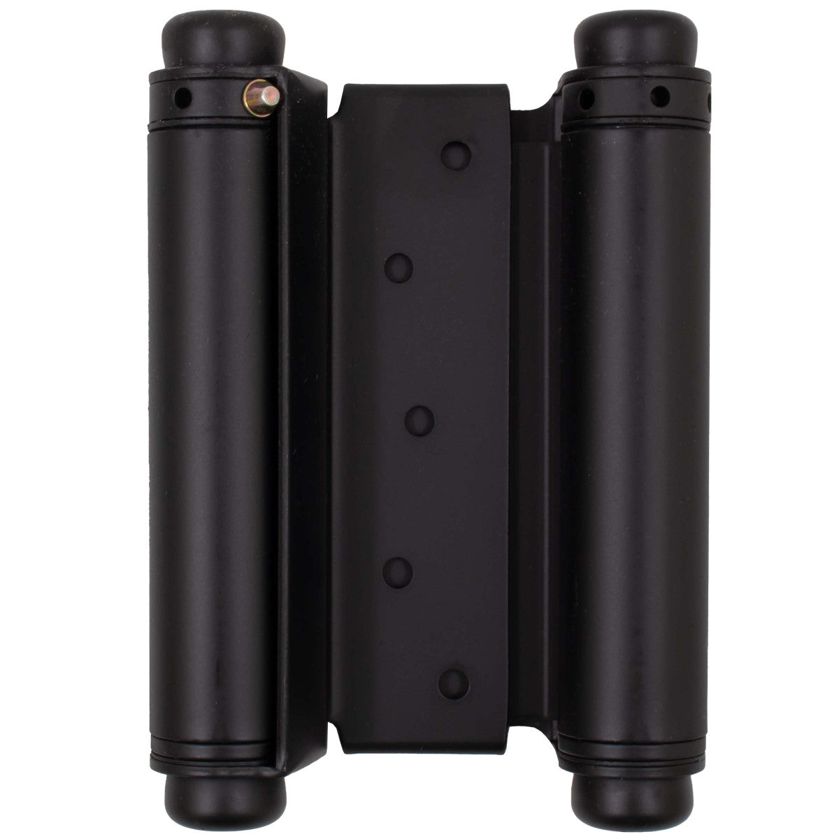 Double Action Spring Hinge