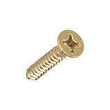 Solid Brass Door Hinge Screws