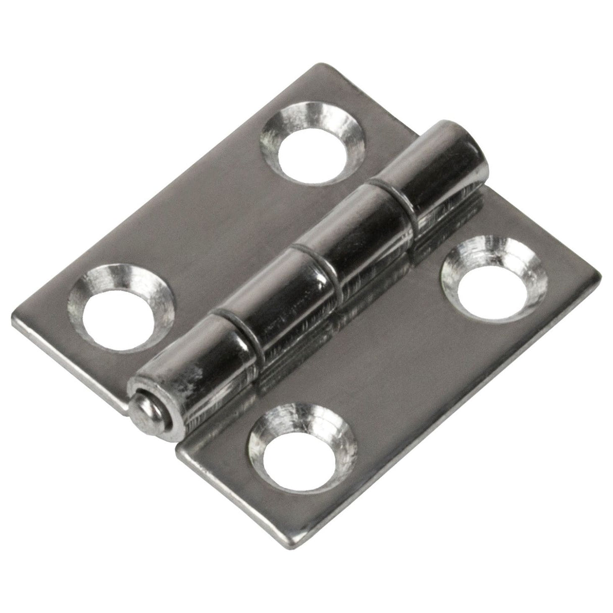 Small Stainless Steel Hinge