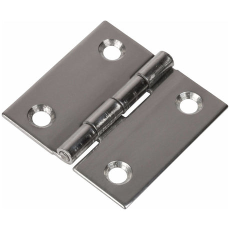 Small Stainless Steel Hinge