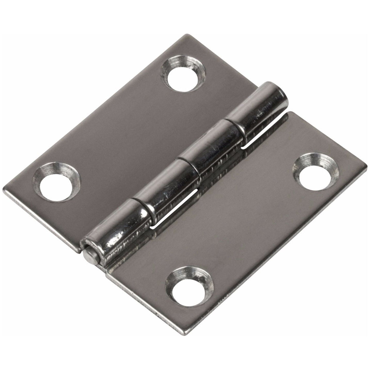 Small Stainless Steel Hinge