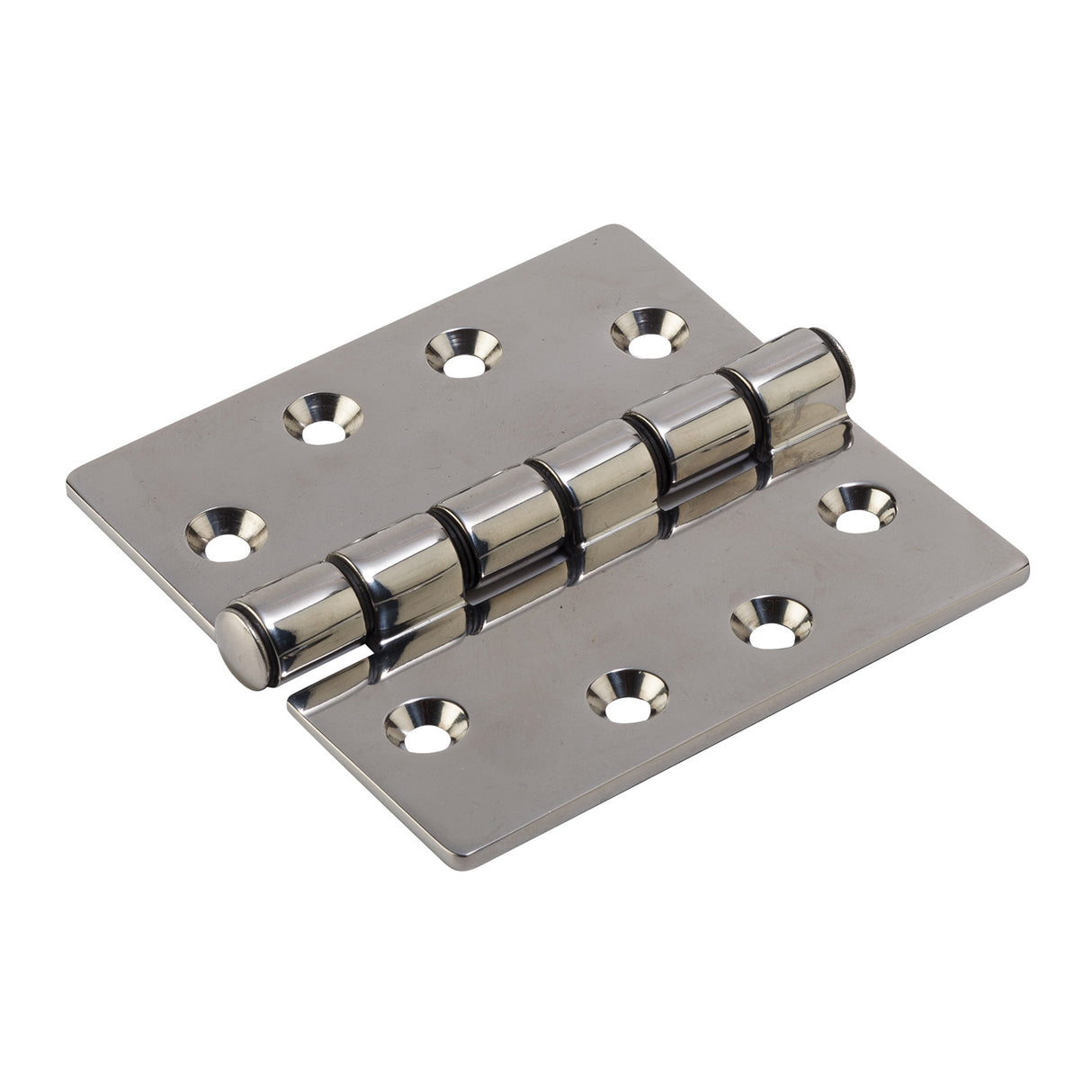 Type 316 Stainless Steel Hinge