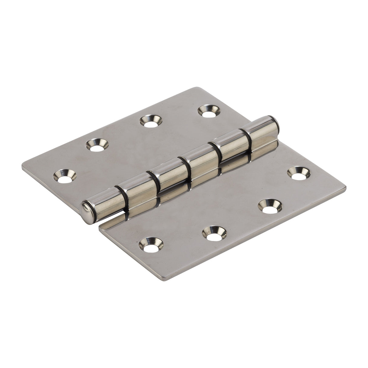 Type 316 Stainless Steel Hinge