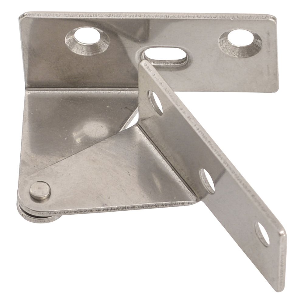 Stainless Steel Pivot Hinge