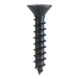 Extra Screws for Iron Hinges and Dummy Straps