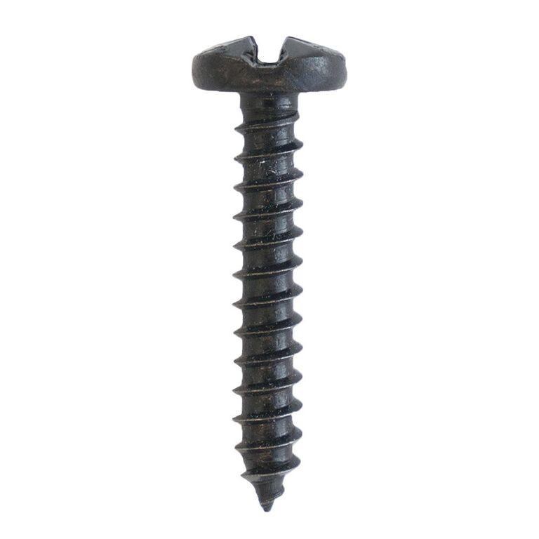 Extra Screws for Iron Hinges and Dummy Straps